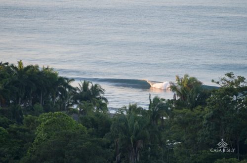CasaBisily Launch -60-of-68